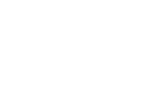 DT Swiss