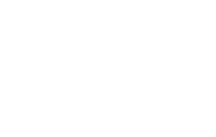 New Race