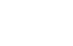 Schwalbe